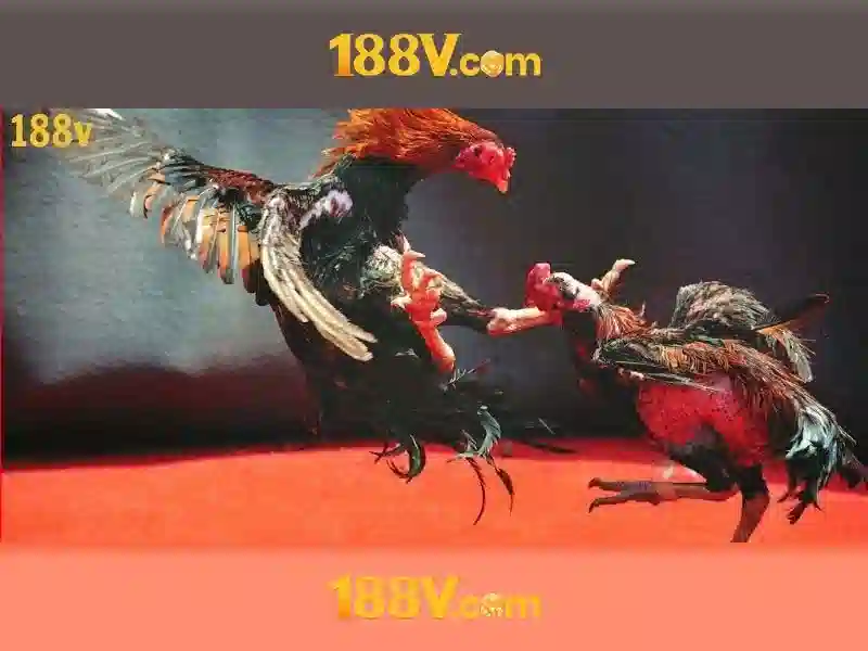 Đặc Điểm Nổi Bật Của Slot 188V