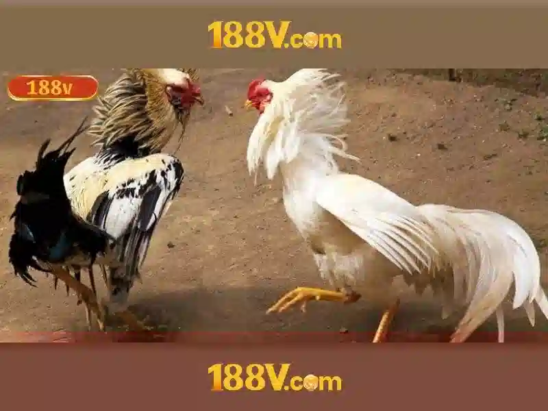 Trải Nghiệm Slot Không Thể Bỏ Lỡ Trên 188v Ios