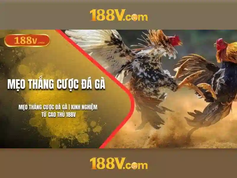 Chương Trình Khuyến Mãi 188V