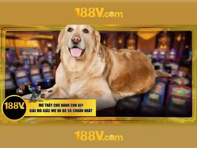 188V – Trang Chủ Game 188v Chính Thức, Trải Nghiệm Slot Đỉnh Cao 2026
