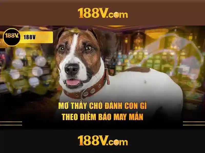 Hướng Dẫn Sử Dụng Giftcode 188v
