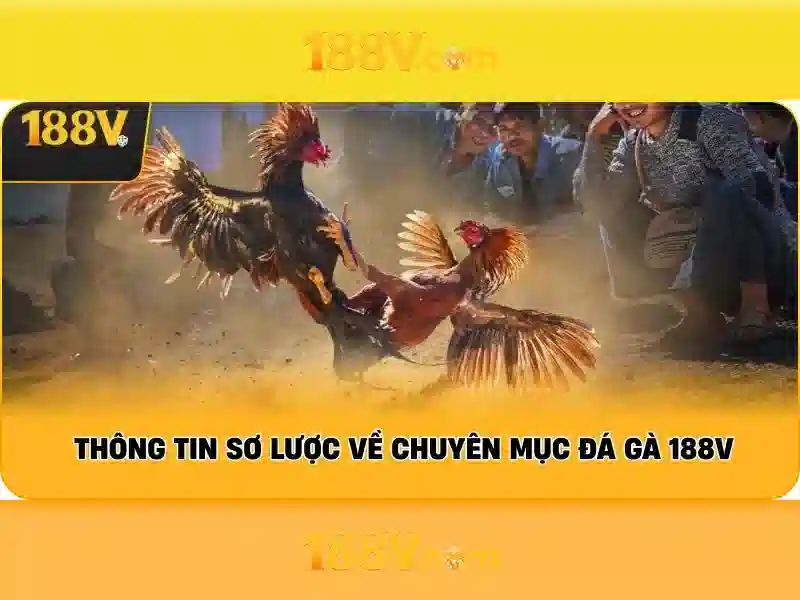 Ưu Đãi Đặc Biệt 188V