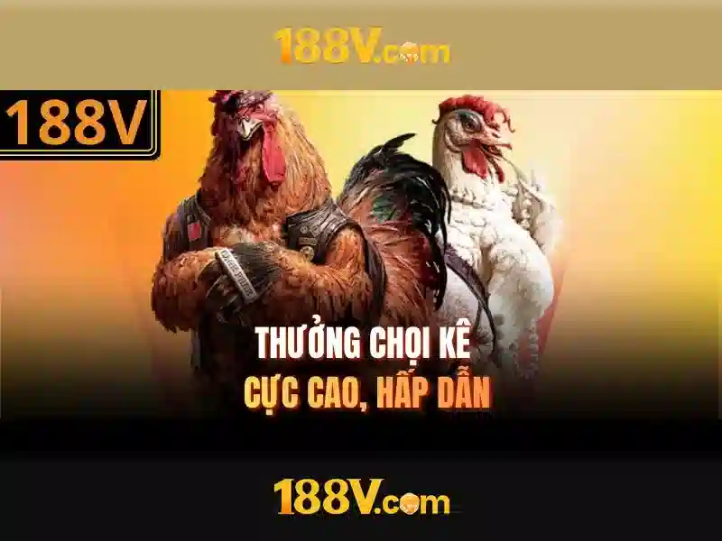 Các Phương Thức Liên Hệ Với 188V