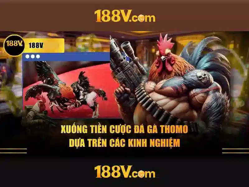 Tính năng app 188v
