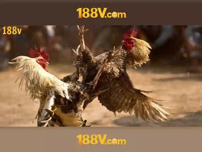 Hướng dẫn đăng nhập 188V