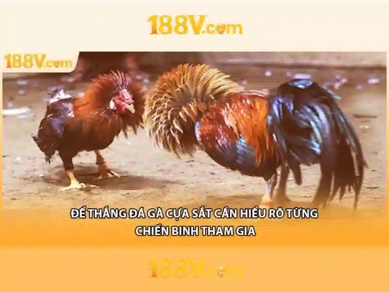 Chương Trình Ưu Đãi 188v VIP