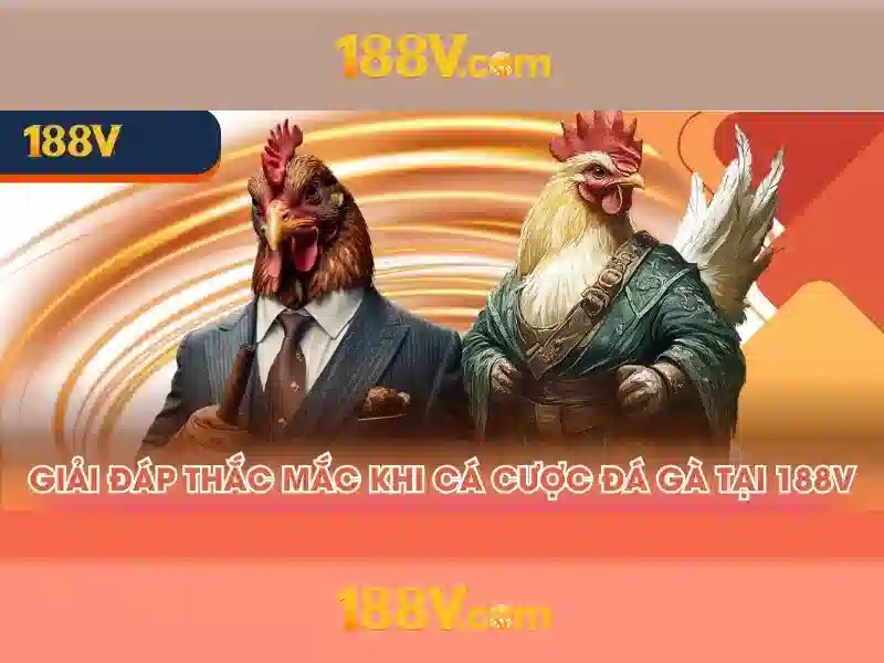 Dịch Vụ Chuyên Nghiệp 188V