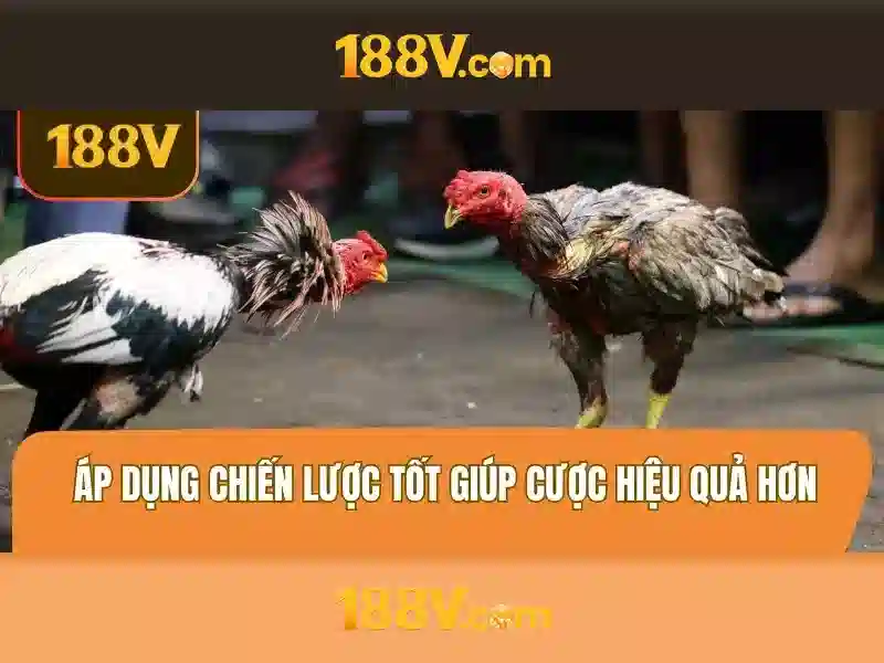 Chính Sách Bảo Mật 188V