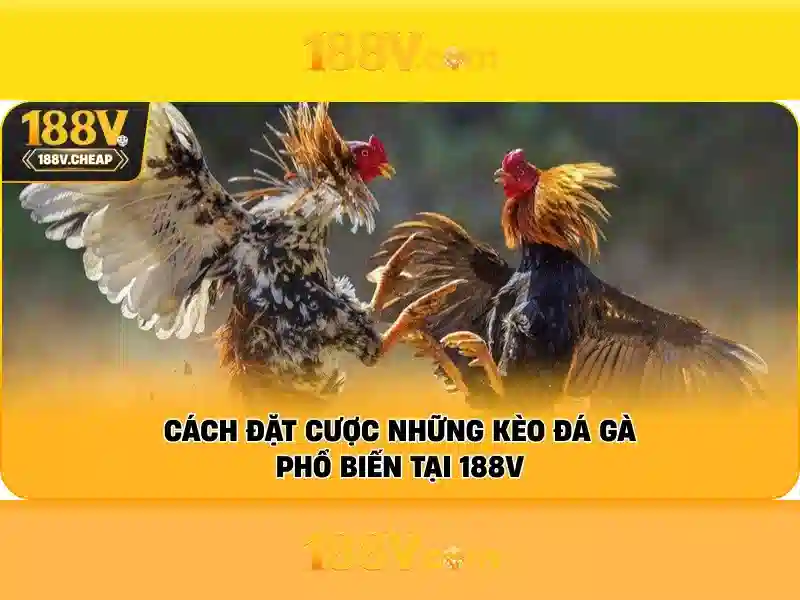 FAQ 188V – Hướng Dẫn Sử Dụng Trang Chủ 188V Không Bị Chặn 2026