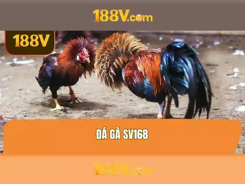 cách chơi slot 188V