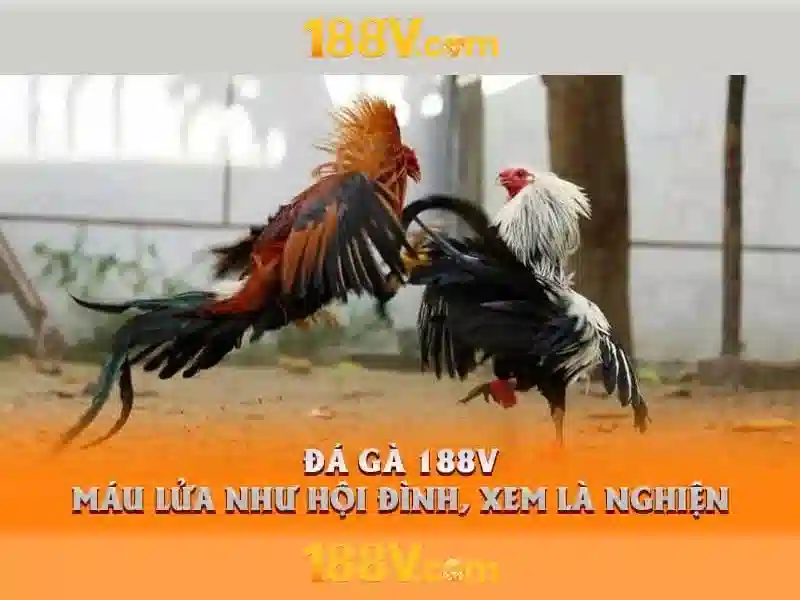 Trải Nghiệm Trực Tuyến Với 188V
