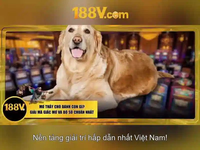 Trải nghiệm Slot 188v