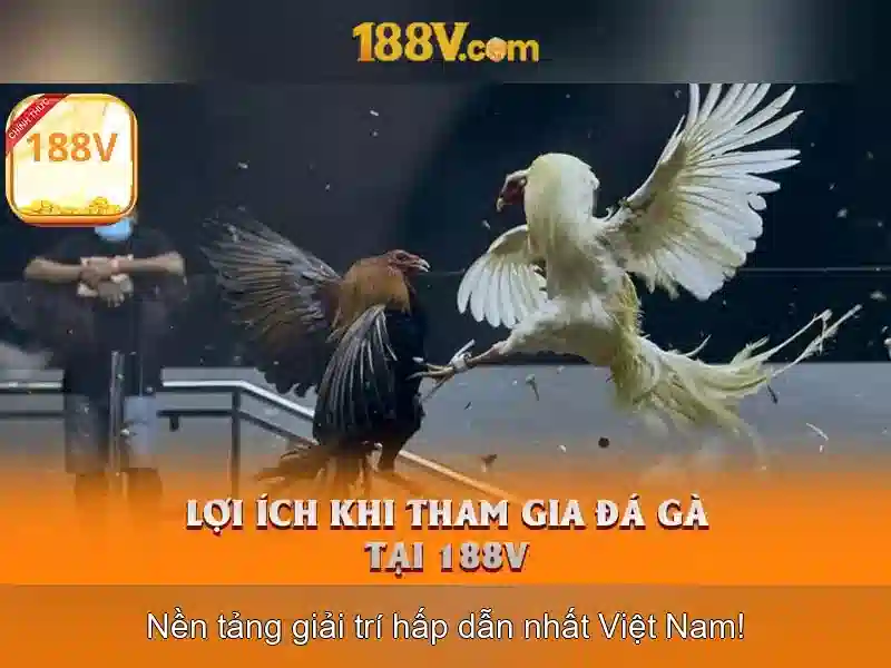 Trang chủ 188v