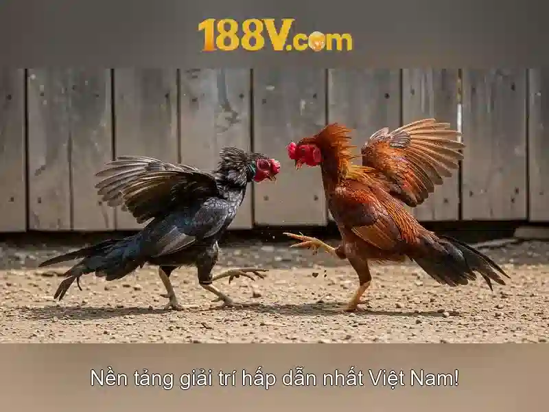 Cá cược slot đa dạng tại 188v