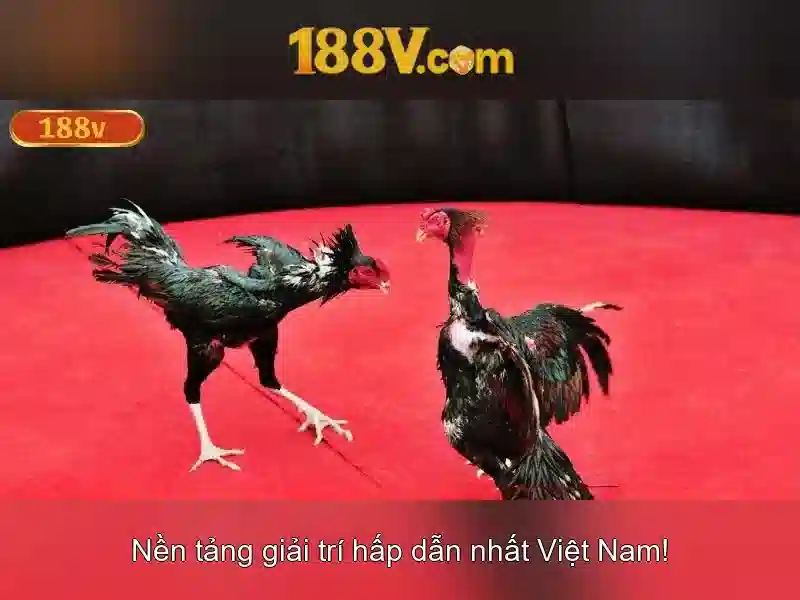 Ưu điểm 188V