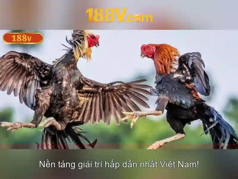 Hệ Thống Trò Chơi Slot 188V