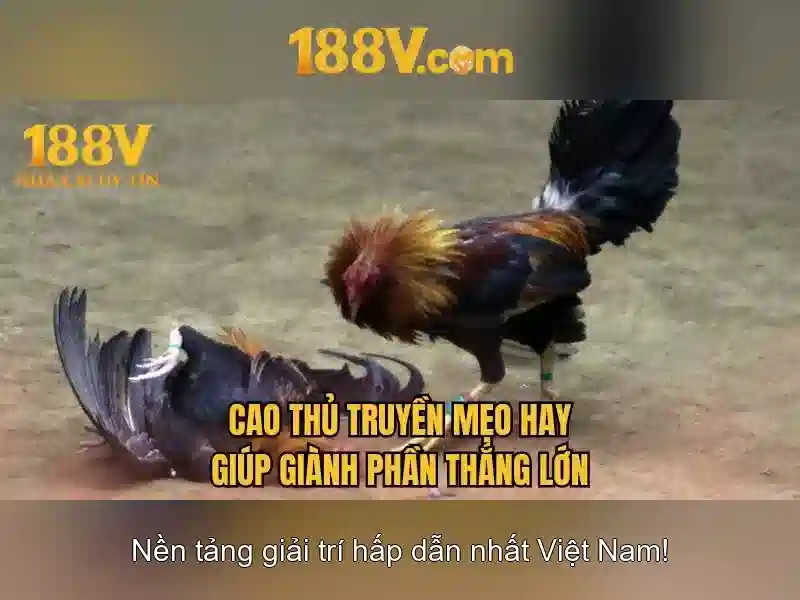 Giới Thiệu 188V – Trải Nghiệm Slot Đa Dạng Với Dịch Vụ Chuyên Nghiệp