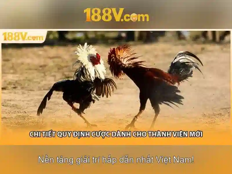 Hướng Dẫn Chơi Slot 188V