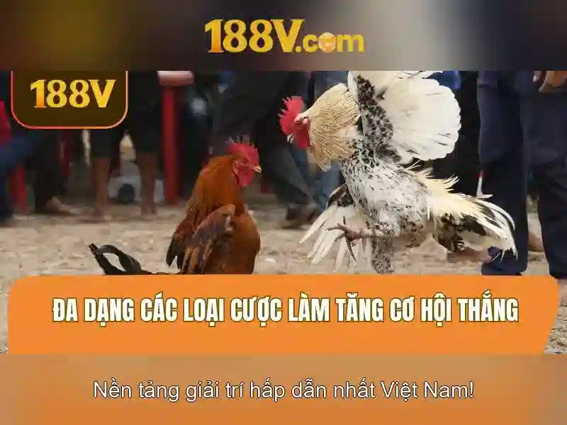Nhận Thưởng 188V