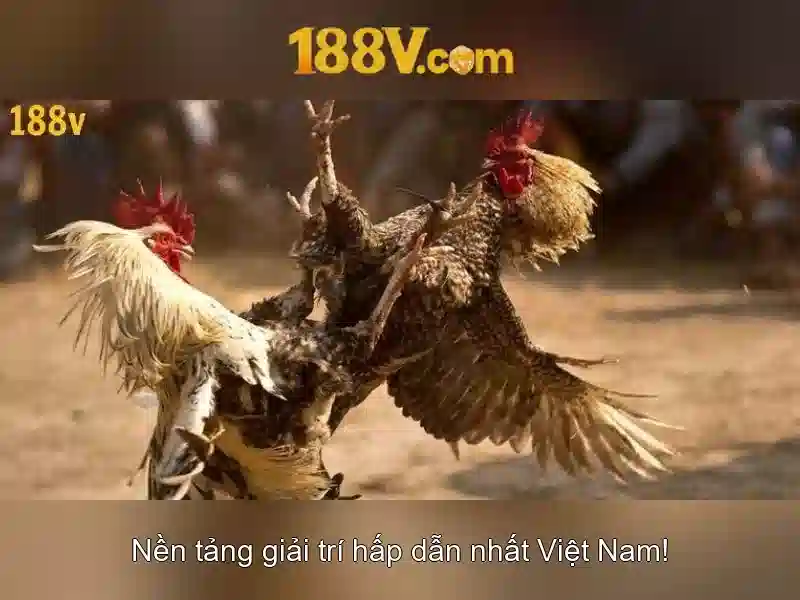 chương trình thưởng 188V