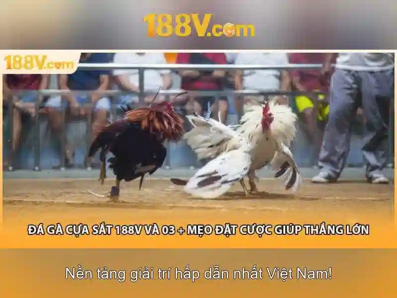 Chơi Slot 188V