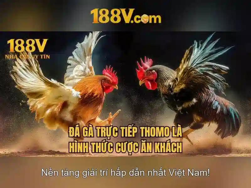 Chương Trình Khuyến Mãi 188V