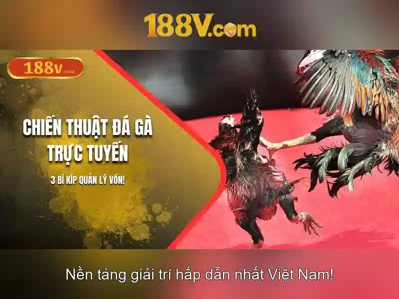 188V – Trải Nghiệm Game Bài 188V Đỉnh Cao Trong Ngành SLOT 2026