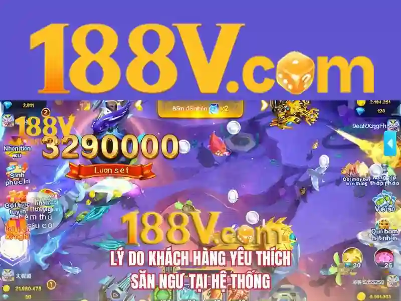 trải nghiệm cá cược
