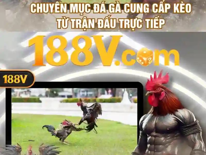 188V – Trang Chủ 188v Chính Thức 2026 | Slot Trực Tuyến Đỉnh Cao