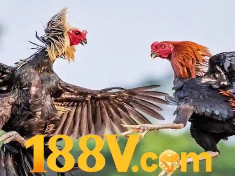 Chương trình khuyến mãi Slot 188V